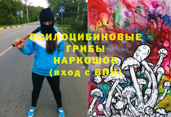 амф Абаза