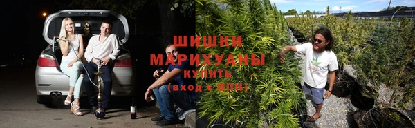 амф Абаза